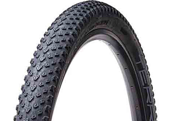 BRN Tubeless Terra Protection-nero